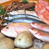 ローマ濱静,本物の和の味
