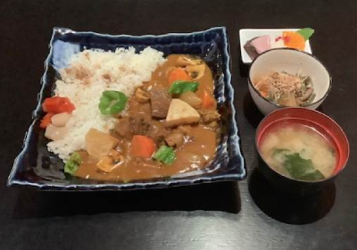 Curry alla giapponese  con manzo e verdure su riso
