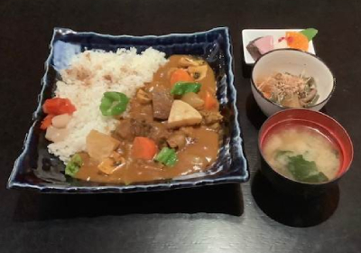 Curry alla giapponese con manzo e verdure su riso